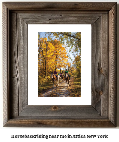 horseback riding near me in Attica, New York